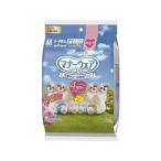 【お取り寄せ】ユニ・チャーム マナーウェア 女の子 M 4種のデザイン 4枚 猫 キャット用 ペット トイレタリー