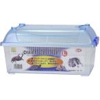 [ ваш заказ ] три . association clean кейс Flat L 161 домашнее животное жук-носорог рогач 