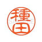 �y�����񂹁z�V���`�n�^ XL-11(��c) XL1101438 �^ �l�[���P�P �^�s �l�[���� ���a�P�P���� �X�^���v
