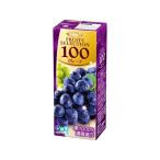 エルビー フルーツセレクション グレープ100% 200ml パック 果実飲料 ジュース 飲料