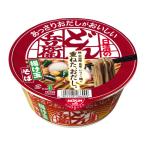 日清食品 あっさりおだしどん兵衛 揚げ玉そば
