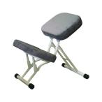 【お取り寄せ】セイコー セブンポーズチェア ホワイト/グレー SPC-14W 09 固定脚スツール 丸椅子 スツール オフィスチェア オフィス家具