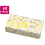 ショッピングペーパータオル 【お取り寄せ】クリンペット・ジャパン ペーパータオル ハーフタオルかぐや 500枚*40パック