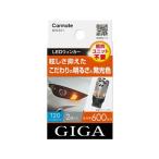 LED
