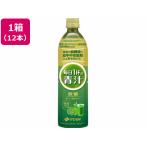 伊藤園 毎日1杯の青汁 無糖 900g×12本 健康補助食品 健康ドリンク 栄養補助食品 栄養ドリンク 健康食品