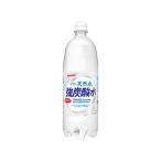 日本サンガリア 伊賀の天然水 強炭酸水 1L