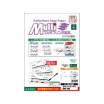 hisago мульти- принтер форма копирование A4 белый бумага 3 поверхность 100 листов FSCF2004 мульти- принтер форма A4hisagoOA квитанция форма 