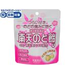 【第3類医薬品】★薬)常盤薬品 南天のど飴U 22錠 トローチ ドロップ 飴 せき のど うがい薬 医薬品