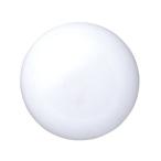 【お取り寄せ】ジョインテックス カラーマグネット 15mm白 10個 B162J-W