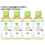 伊藤園 お茶体験 200mL 62067 ペットボトル 緑茶 お茶 飲料