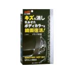 【お取り寄せ】ソフト99 COLOR EVOLUTION 100mL ブラック 00503