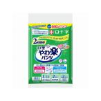 【お取り寄せ】白十字 サルバ やわ楽パンツ お試しパック L-LL 2枚入 大人用オムツ 排泄ケア 介護 介助