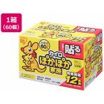 アイリスオーヤマ ぽかぽか家族 貼るレギュラー 60P PKN-60HR カイロ メディカル