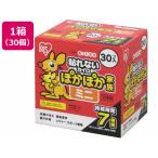 アイリスオーヤマ ぽかぽか家族 ミニ 30P PKN-30M カイロ メディカル