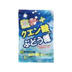 大丸本舗 塩+クエン酸入り ぶどう糖 2g 20粒入 キャンディ 飴 グミ タブレット お菓子