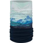 P максимальный 16 раз 10/5 ограничение ( посылать за ) полировка polar полировка Buff Polar Buff Dryen Blue