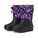 (���) �{�O�X �L�b�Y �L�b�Y �X�m�[ �V�F�� �u�[�c - �t���[���� (�g�h���[/���g��