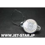  Sea Dw RXT IS 255 2009 год модели оригинальный PRESSURE CAP ( номер детали 276000100) б/у [S353-114]