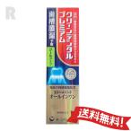 【ネコポス送料無料】第一三共ヘルスケア クリーンデンタル プレミアム クールタイプ 100g 1本