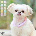 [サイズ:XS/SS]【SUO】2023 SUO 28°ICE COOL RING　クールリング　ボタンなし　＜全10色＞［スオ］