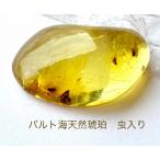  натуральный янтарь насекомое ввод янтарь .. . разрозненный Insect янтарь Power Stone редкость . насекомое outlet 