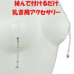 ニップルクリップ クローズド ダイヤレーン ハート クリスタル シルバー 乳首アクセサリー 乳首 ニップル 乳首