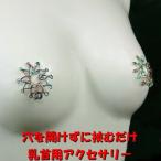 ニップルハガー　レイシークリスマス　　乳首アクセサリー ニップル 乳首