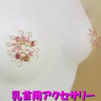 ニップルハガー ラインストーン ライトローズ ゴールド 乳首アクセサリー ニップル 乳首