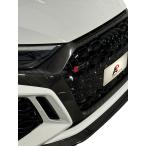 AutomotivePassion Audi RS3 8Y Carbon Grille  GEN 1 Full Carbon Front Grille Replacement