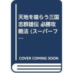 天地を喰らう三国志群雄伝 必勝攻略法 (スーパーファミコン完璧攻略シリーズ)