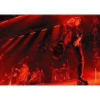 17th жить circuit *.* Porno Graffitti "Live at TOKYO GARDEN THEATER 2021 ( первый раз производство ограничение запись ) (