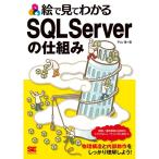 .. смотри понимать SQL Server. . комплект .