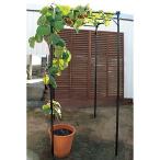 daim くだもの 棚 セット KT-S 幅90cm×奥行120cm×高さ180cm（30cm埋め込み時） DIY パーゴラ 組立 キット
