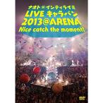 ナオト・インティライミ LIVE キャラバン 2013 @ ARENA Nice catch the moment DVD