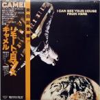 I CAN SEE YOUR HOUSE FROM HERE リモート・ロマンス 12" Analog LP Record