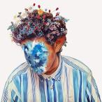 Fall Of Hobo Johnson Analog