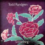 Something/Anything? 12 inch Analog