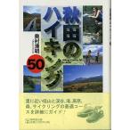  Akita. высокий King 50