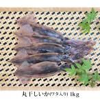 .. подарок круг высушенный ..(wata входить ) 1kg рефрижератор рейс производитель прямая поставка тихоокеанский кальмар ( Toyama производство ) сушеный продукт бесплатная доставка Toyama Daisan большой круг вода производство 