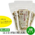 富山 JAいなば はとむぎ精白粒 大粒 200g 3袋セット 産地直送 ヨクイニン 富山県産はとむぎ 無添加