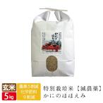 令和5年産 送料無料 かにのほほえみ 玄米 5kg コシヒカリ 西日本 兵庫県 但馬産 特A カニ殻肥料 環境に優しく美味しいお米 カニ料理 玄米カイロ