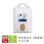 新米 令和3年産 無農薬 玄米 無農薬 無化学肥料 送料無料 玄米 5kg やぶの華 兵庫県 養父市 限定 有機 玄米 無農薬 コシヒカリ 西日本 但馬産 特A 無農薬米