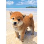 ジグソーパズル108ピースぼくの海...