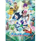 ジグソーパズル500ピーステラパゴ...