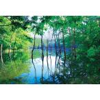 ジグソーパズル300ピース白神山地...