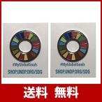 国連本部限定販売 SDGs ピンバッジ 日本未発売 UN 2個セット