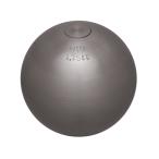 ニシスポーツ 砲丸（練習用）7.26kg G1150