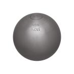 ニシスポーツ 砲丸（練習用）5.0kg G1154