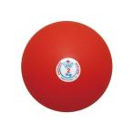 ニシスポーツ 砲丸（室内用・ソフトゴム製）2.0kg T5551