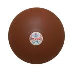 ニシスポーツ 砲丸（室内用・ソフトゴム製）2.72kg T5552